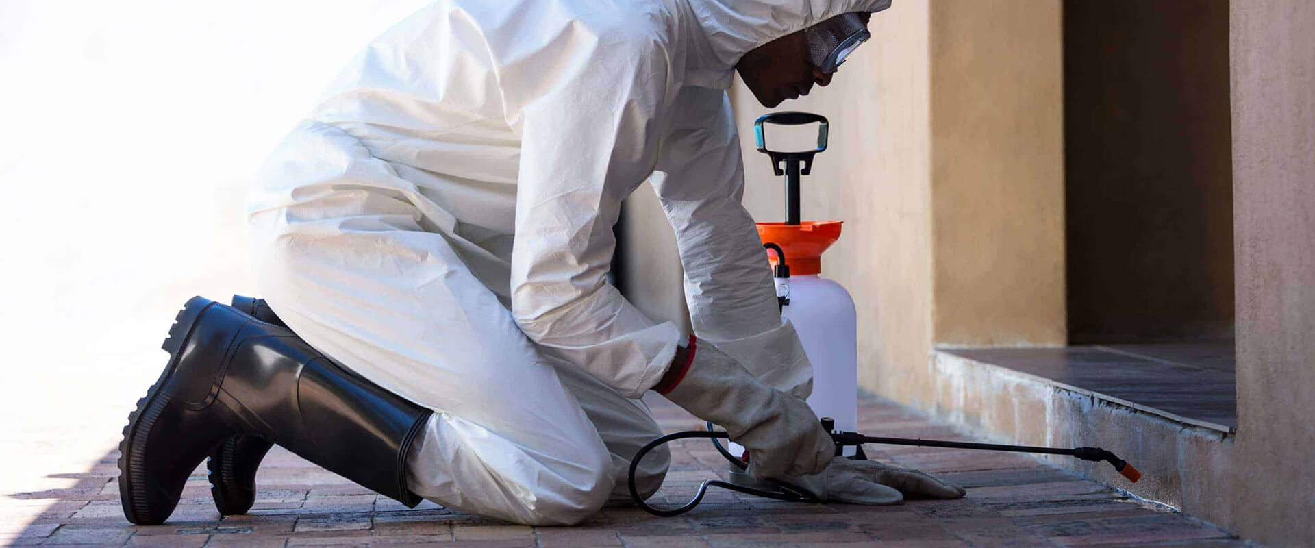 pest control services