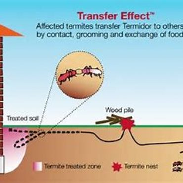 Chemical Termite Sprays